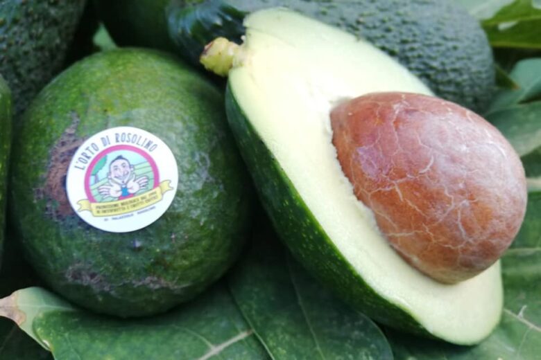 L’orto di Rosolino Biologico e Tropicale